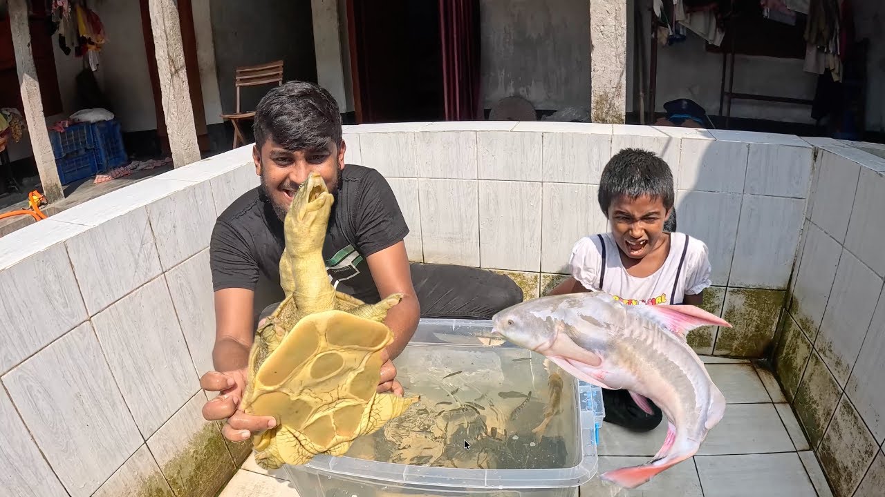 Home Aquarium Cleaning with Energetic People - Fish Tank Washing Process 4K #aquarium
