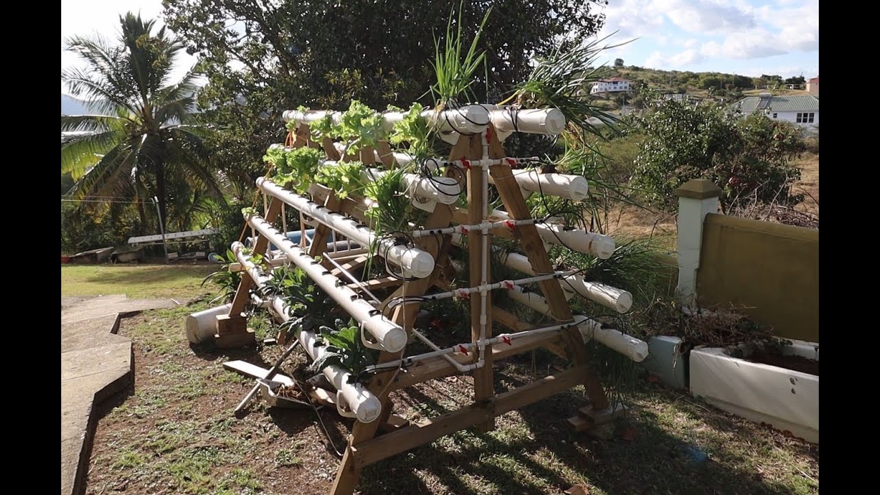 A-frame Deep Flow Technique hydroponic system