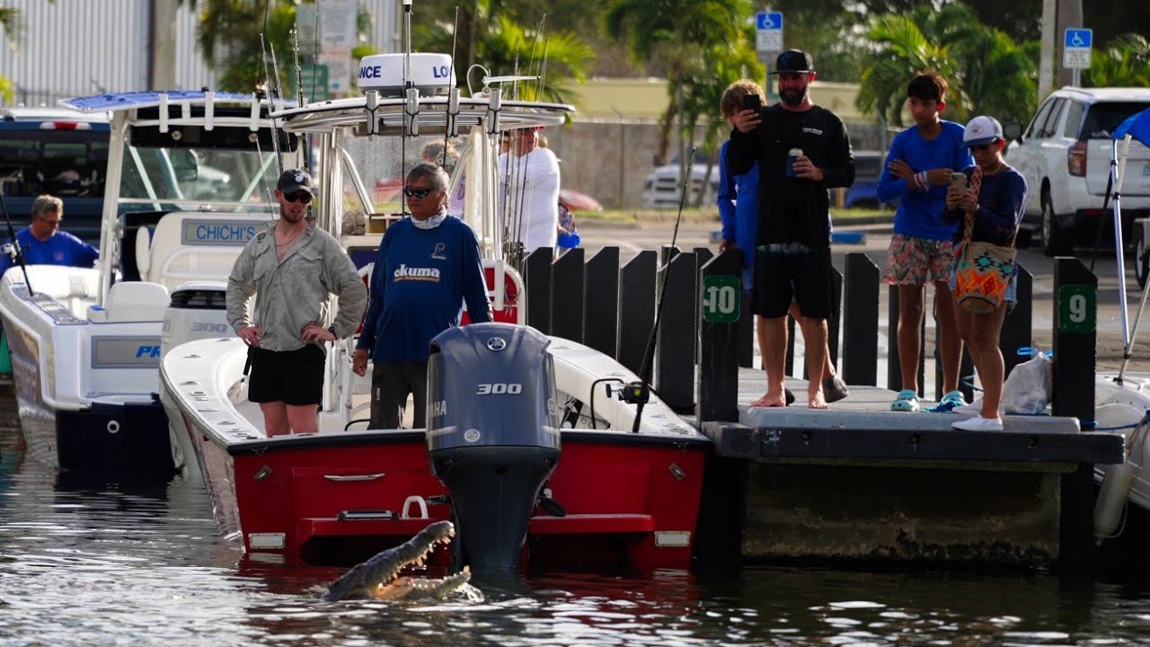 Leg For Dinner ? Reckless Boater Taunts the Croc at Boat Ramp (Chit Show)