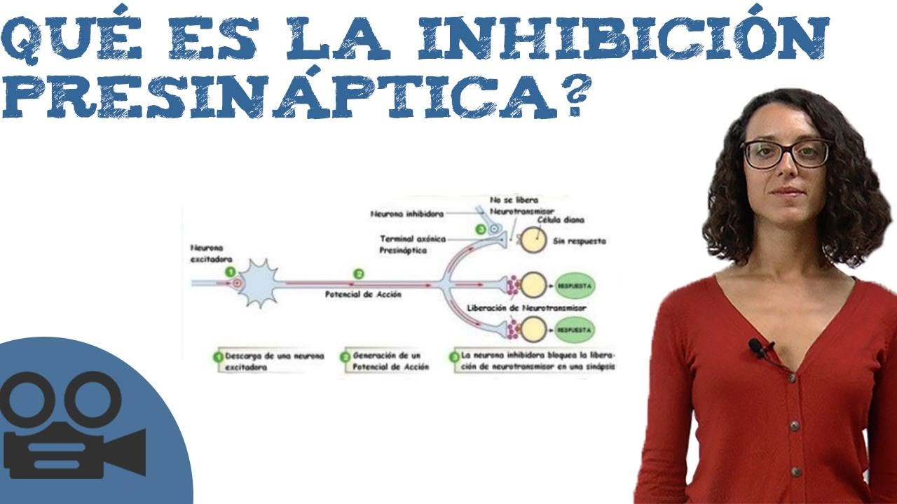 Qu&eacute; es la inhibici&oacute;n presin&aacute;ptica