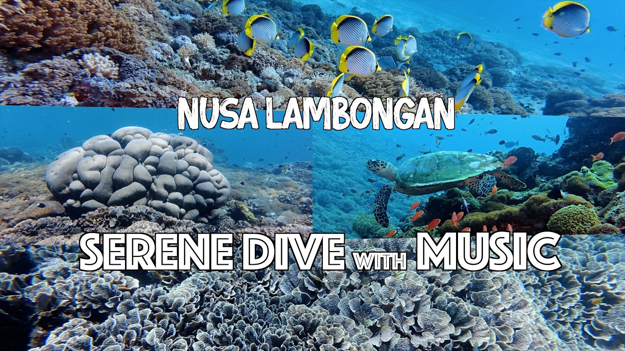 Drifting Through Lembongan | Serene Dive with Music | Relaxing Ocean Film| IDARO