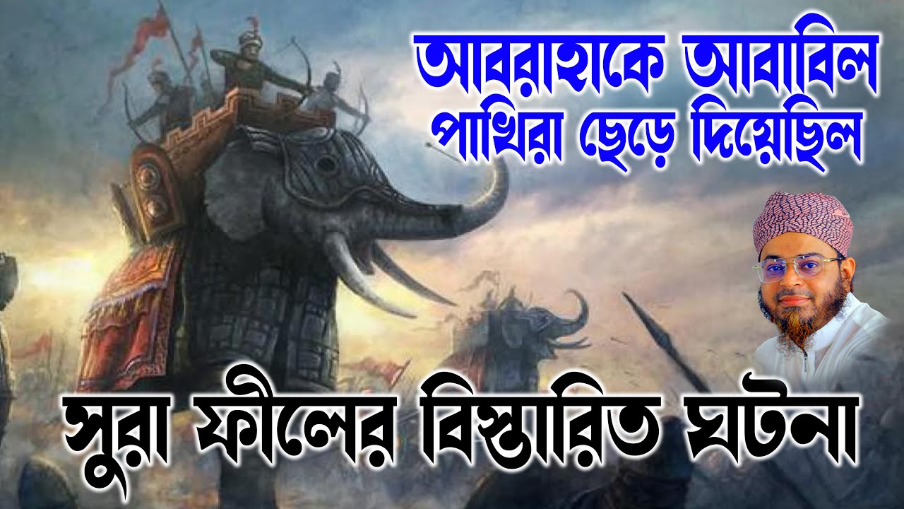 মুফতি নাসির উদ্দিন আনসারী । mufti nasir uddin ansari | আসহাবে ফীলের ঘটনা । dhaka tv