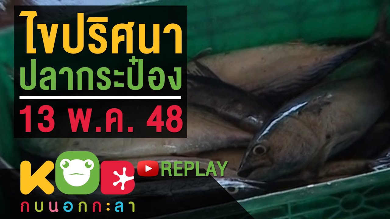 กบนอกกะลา REPLAY : ไขปริศนาปลากระป๋อง ช่วงที่ 4/4 (13 พ.ค. 48)