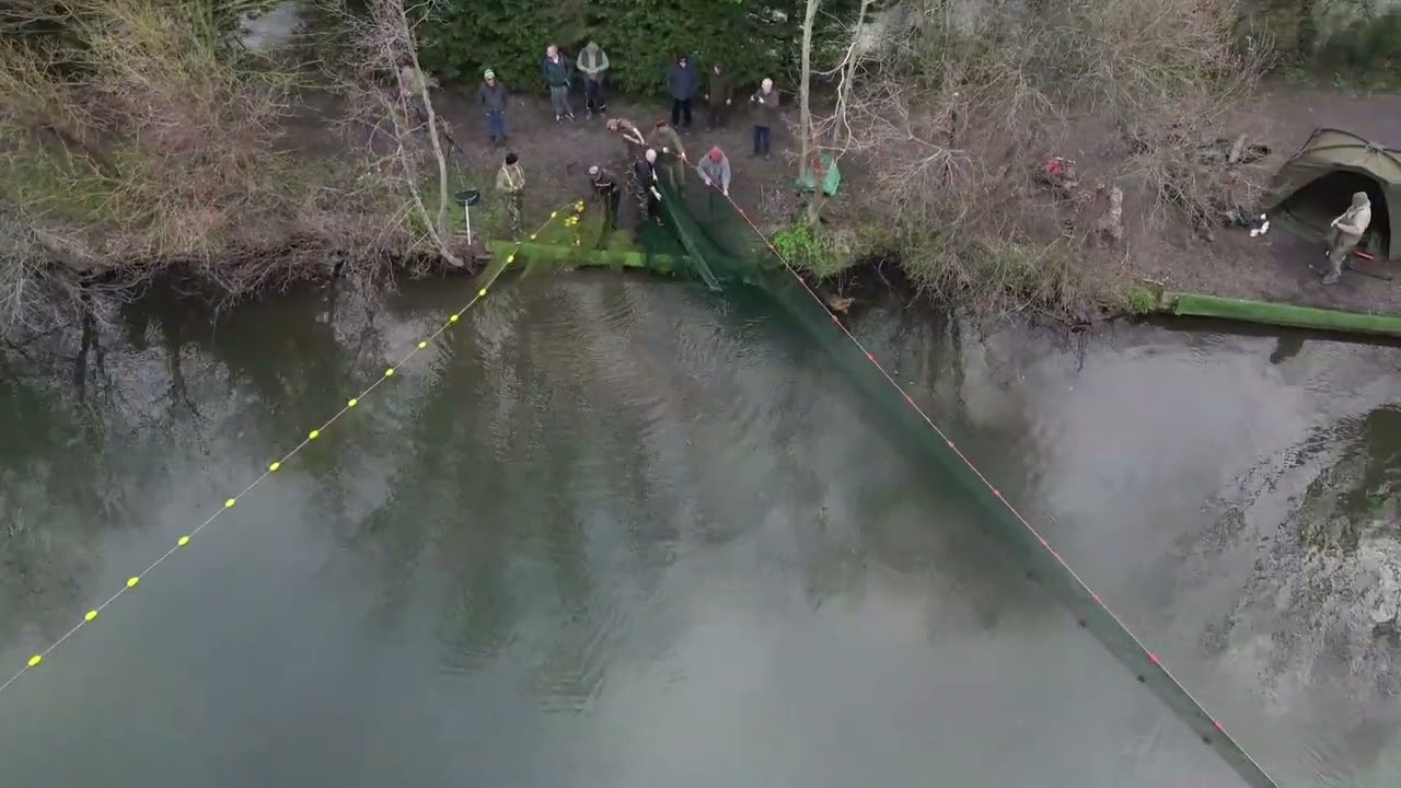 Darenth big lake netting 2024