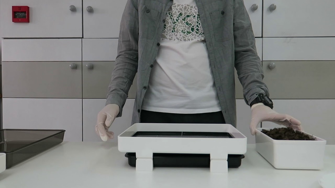 Lexen GP65 種植盆使用篇 Sprouter - Operation