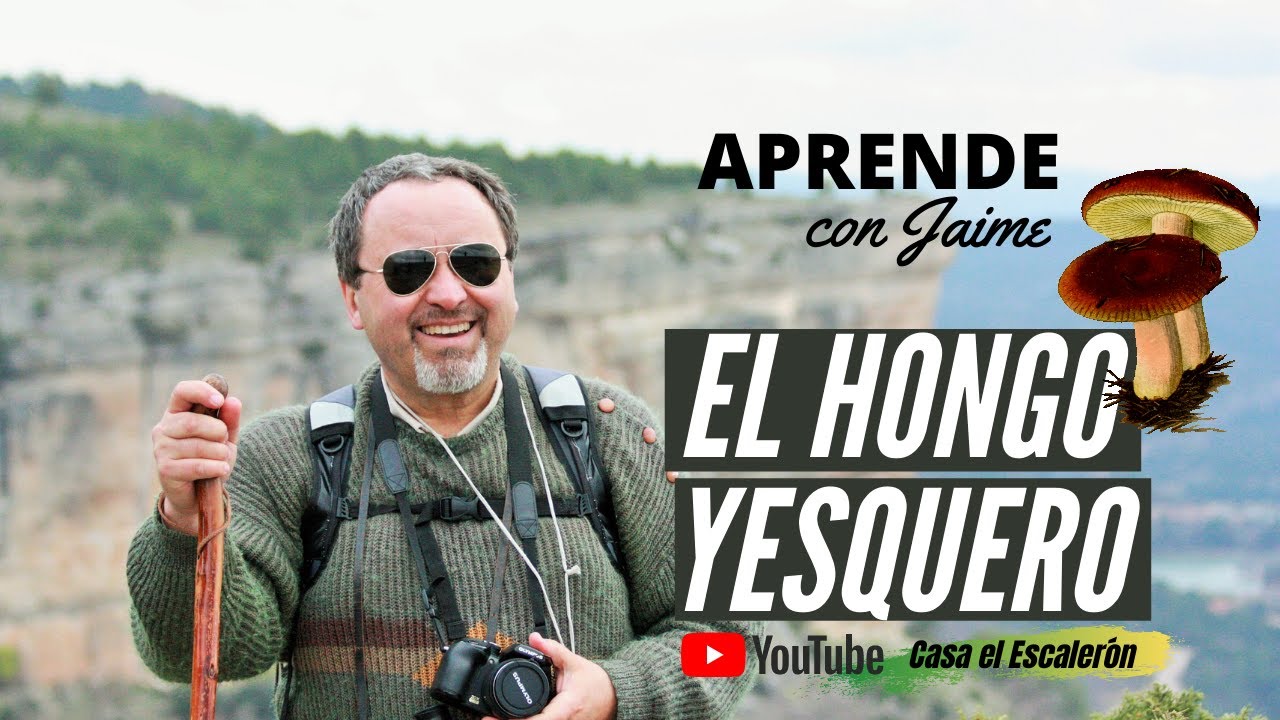 🍄 𝐄𝐥 𝐡𝐨𝐧𝐠𝐨 𝐲𝐞𝐬𝐪𝐮𝐞𝐫𝐨, ¿Qué es y para qué se utilizaba? | APRENDE con Jaime