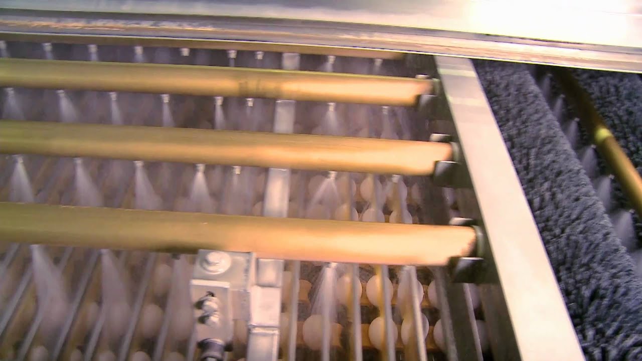 Visit our fresh egg processing area