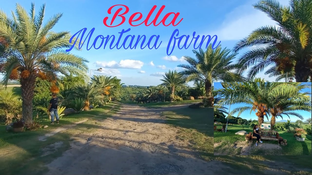 Bella Montana farm,bamban tarlac.