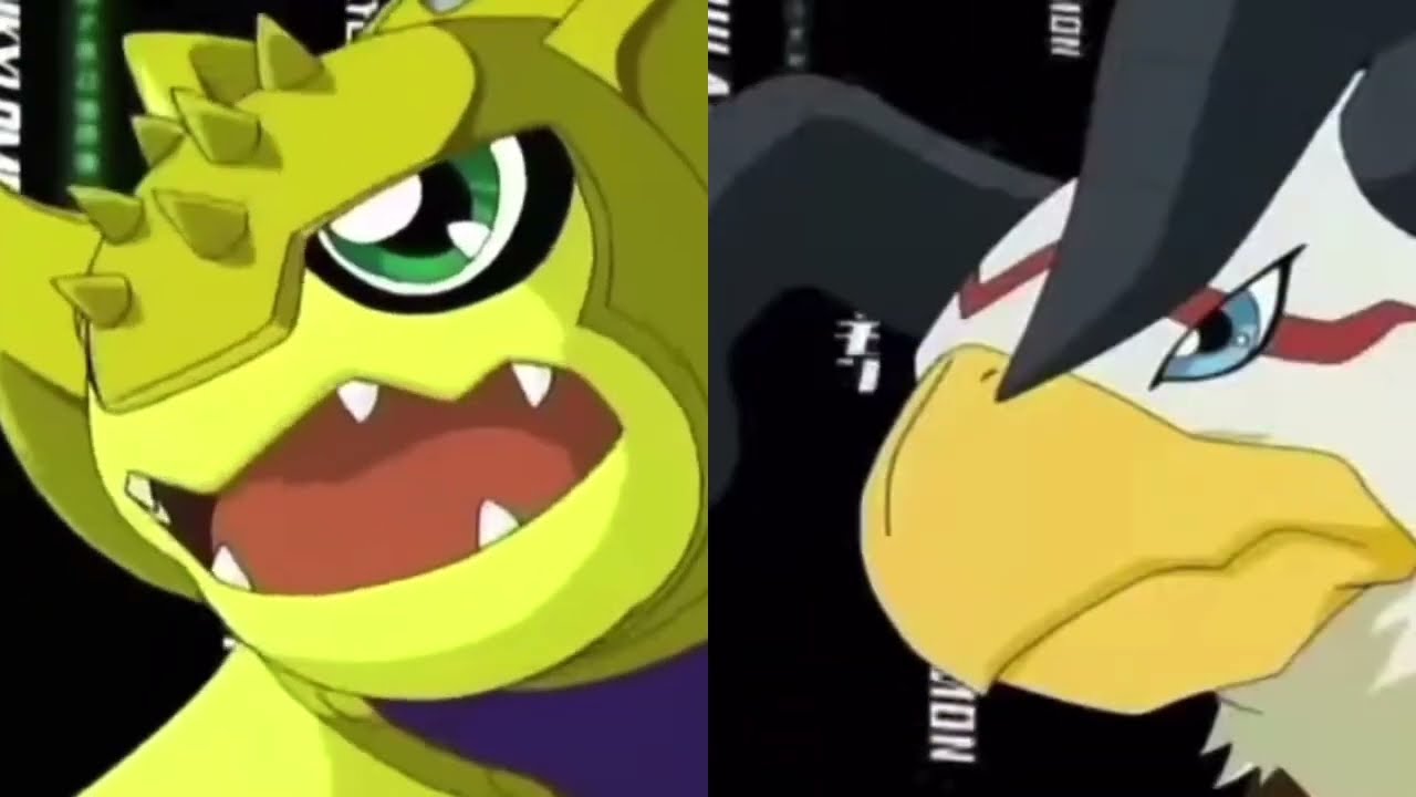 Patamon and Armadillomon, Plotmon and Hawkmon Digivolution and DNA Digivolution