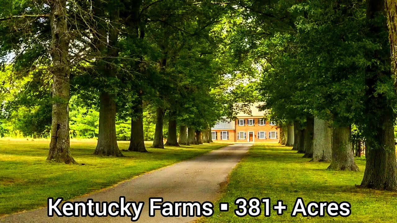 Kentucky Farms For Sale | 381 Acres | Kentucky Land For Sale | 25 Fenced Paddocks | 20 Stall Barns