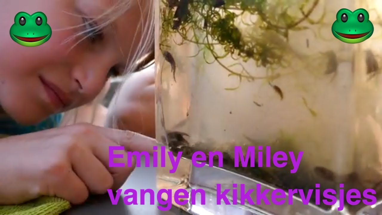 Emily en Miley vangen kikkervisjes