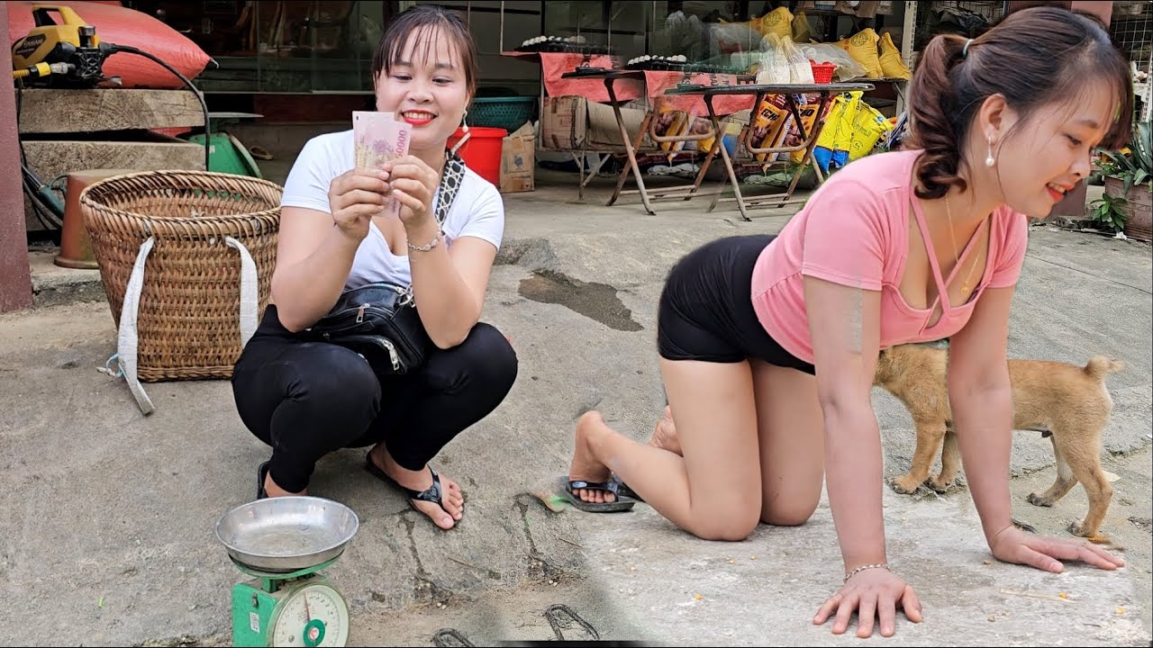 Earn money from stemona tuberosa lour, mussels, upland vegetables, ginger, dong leaves, make barns