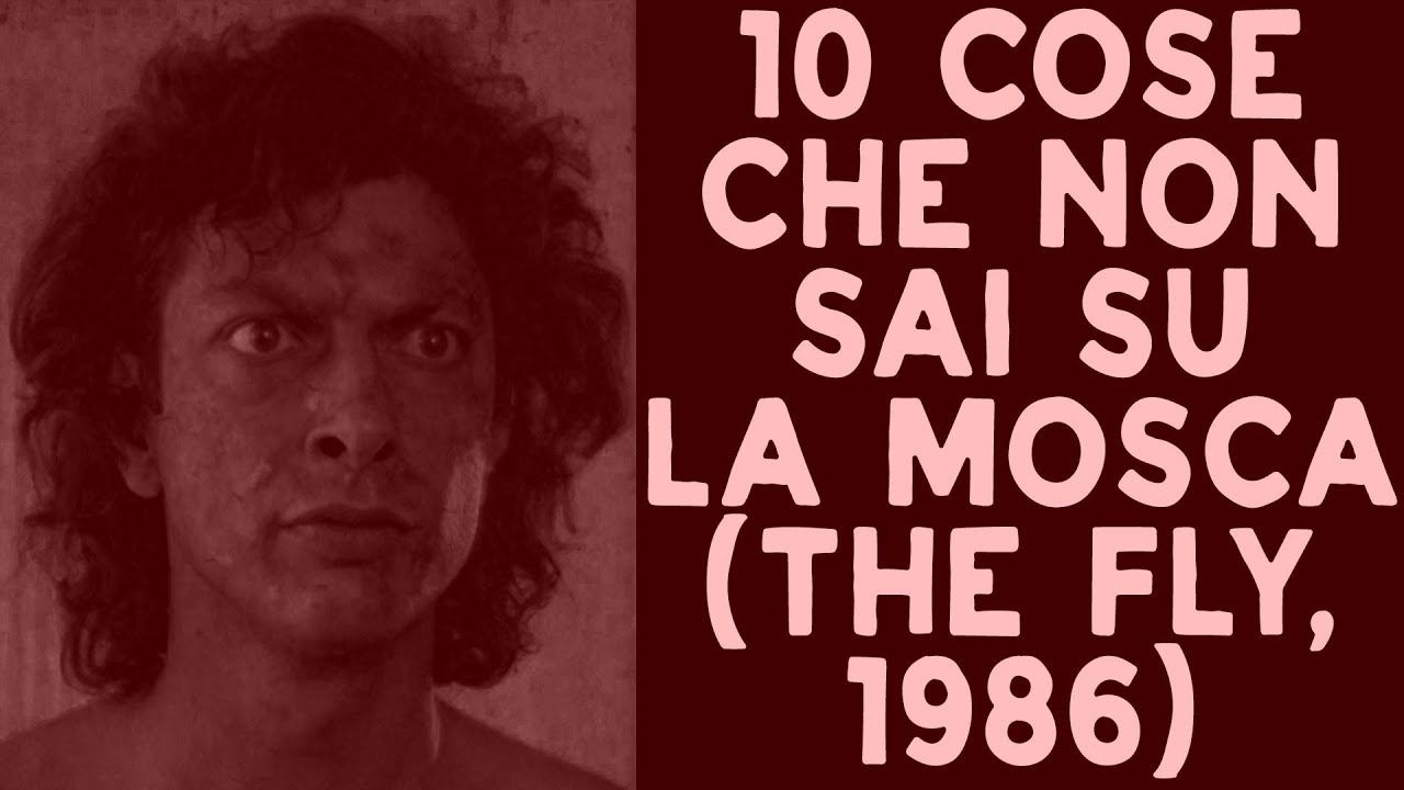 10 COSE CHE NON SAI SU LA MOSCA - 1986 - THE 80s DATABASE