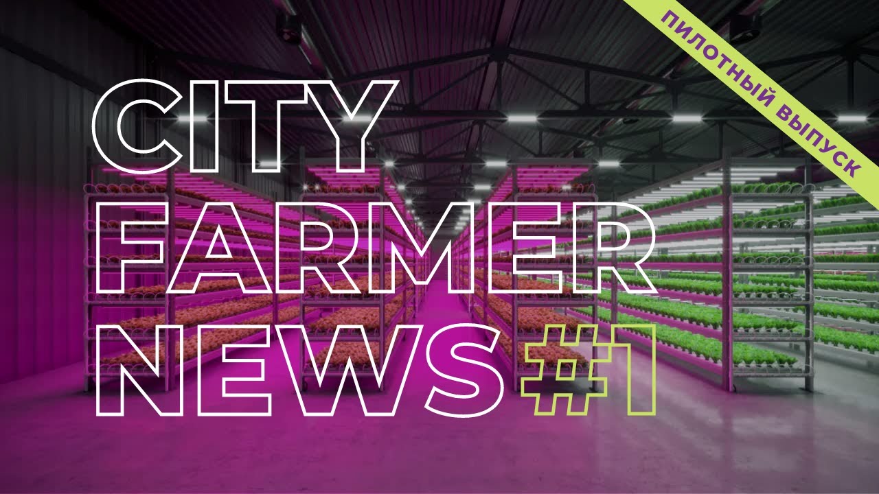 CITY-FARMER NEWS #1 | ПИЛОТНЫЙ ВЫПУСК