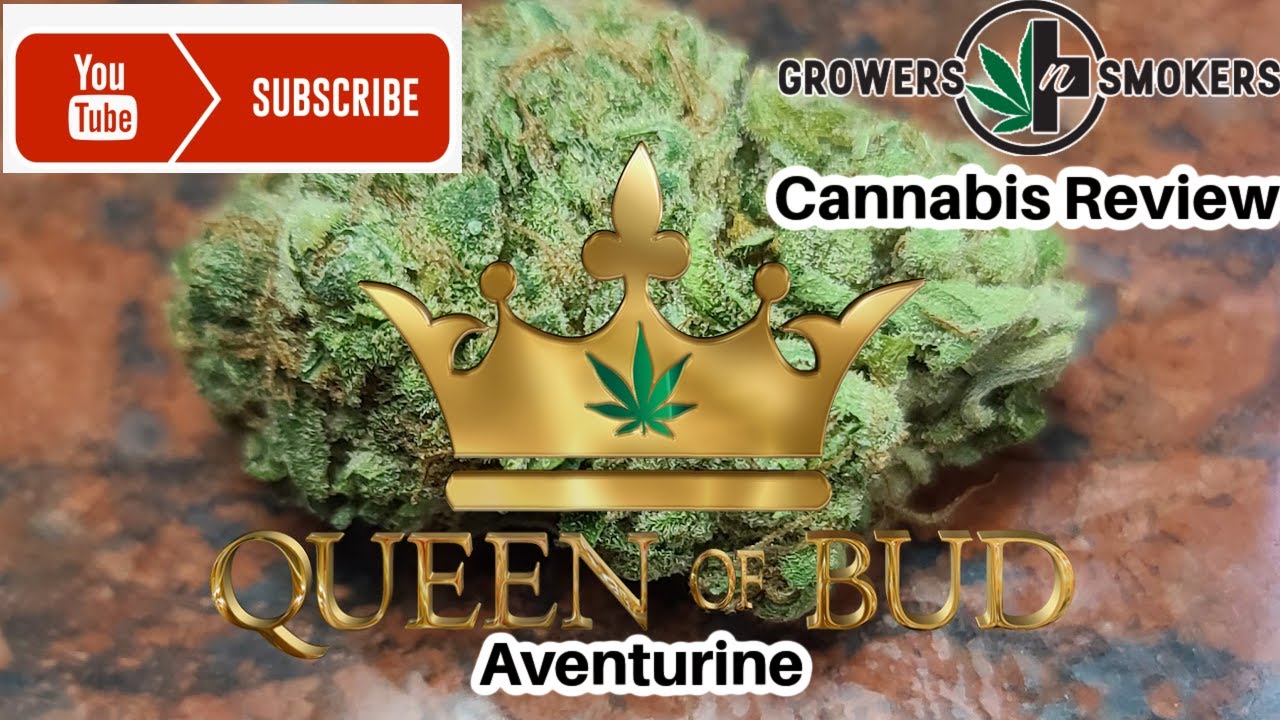 Rick Reviews Queen of Bud Aventurine Alberta grown Cannabis, is it better than what's in Manitoba?