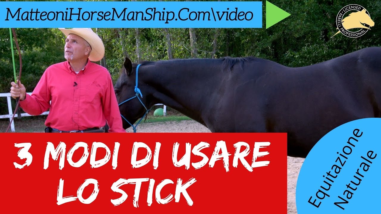 3 modi di usare lo stick col cavallo