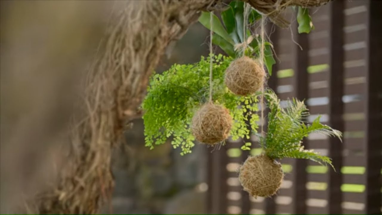 How to Make a Kokedama Tutorial | Mitre 10 Easy As Garden