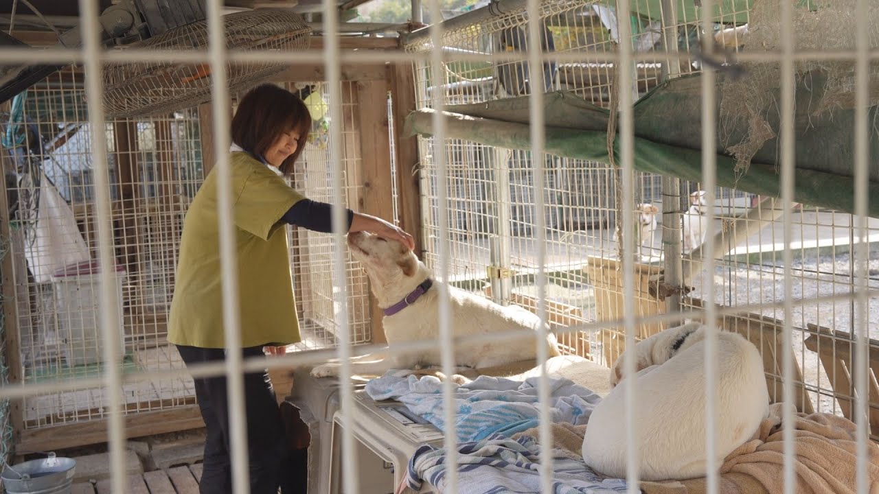 生き物に優しい社会の実現を　NPO法人ケダマの会
