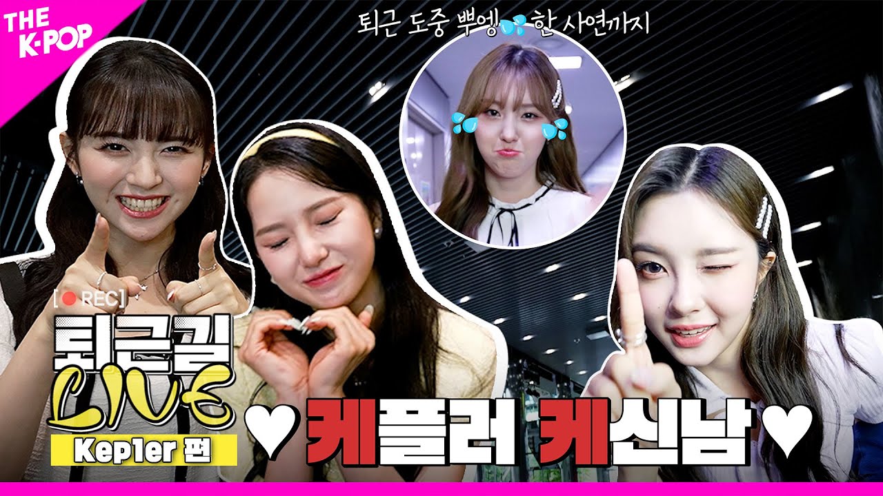 [퇴근길 LIVE 4K] ⚠케플러 케신남주의⚠ 텐션 Up!Up! 퇴근길 현장