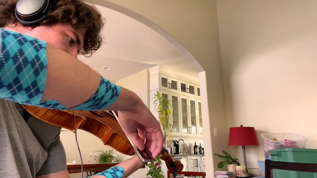 Ave Maria (for viola and piano) - Bach/Gounod