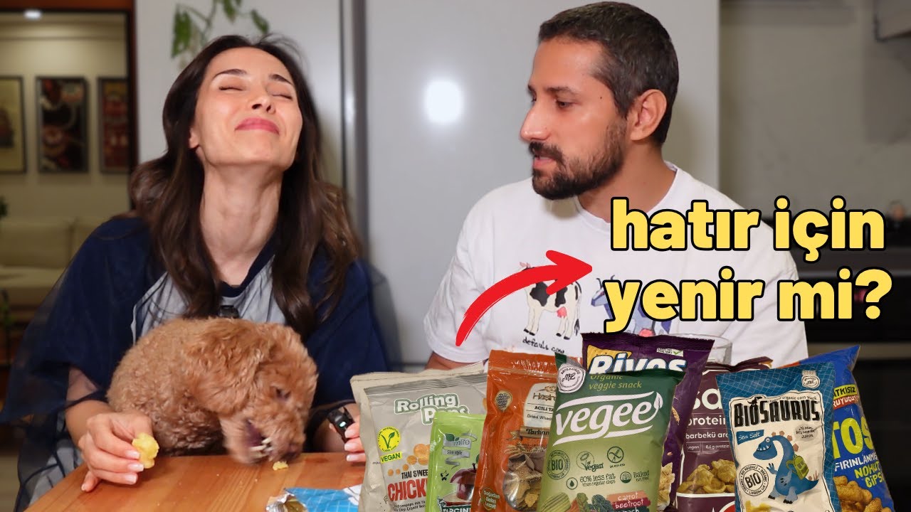 ''SAĞLIKLI CİPS'' katman listesi