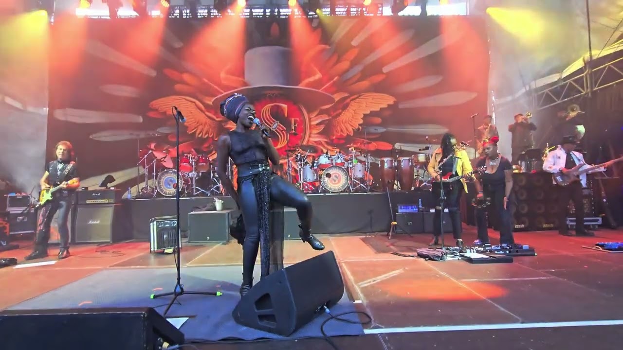Zucchero Bremen Live 