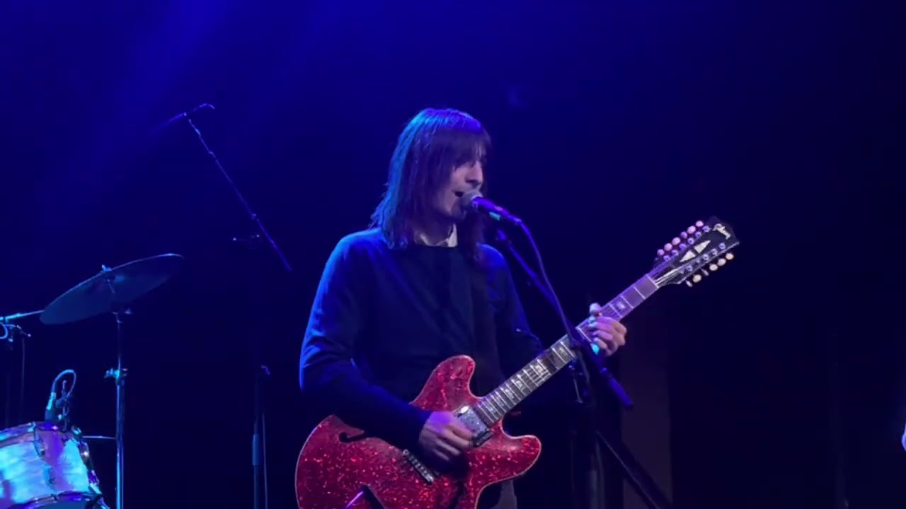 lemon twigs live (31)