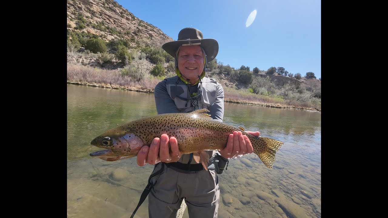 San Juan River Andy Kim Clients Real Fly Fishing Action Catching part 2 April 2025