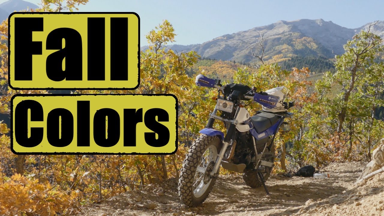 Riding mountain singletrack in the fall on a TW 200