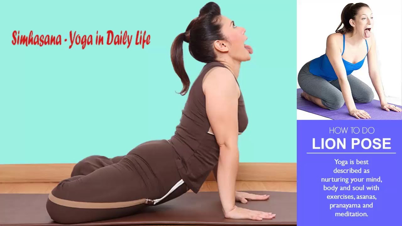 How to Do Lion Pose Yoga | Simhasana And its Benefits.