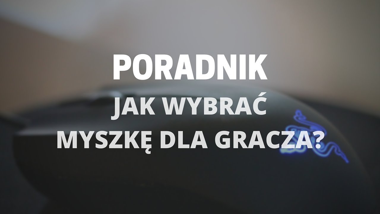 Jak wybrać myszkę dla gracza?