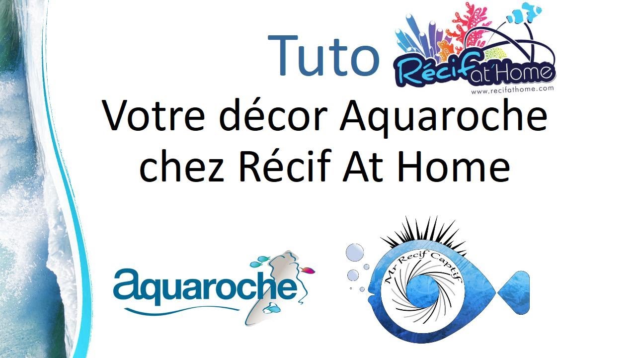Aquaroche chez Recif At Home - Mr Recif Captif #303