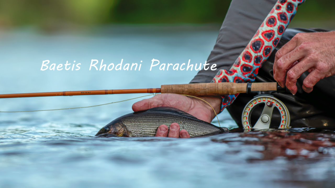 Fly tying - Baetis Rhodani Parachute - With Henrik Kure Nielsen