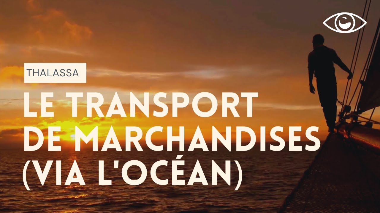Je navigue à contre-courant (devant la folle intensité du trafic maritime) - Thalassa