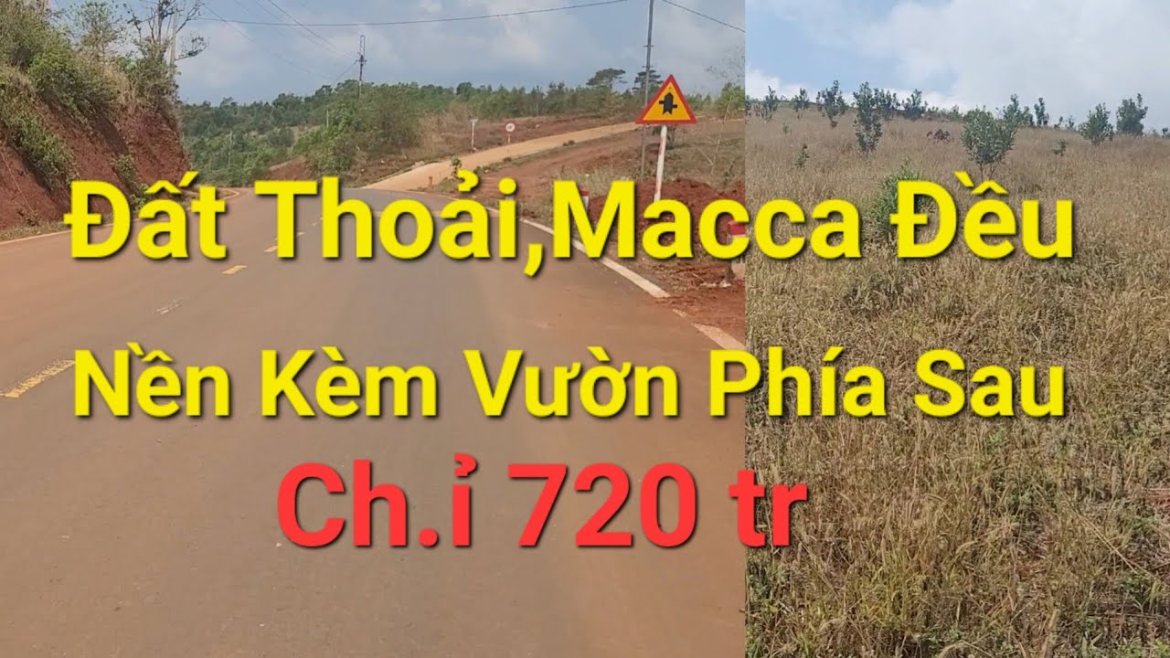 (Số 36)C.hỉ 720 tr Sở Hữu Vườn Kèm Nền Ở Luôn Gần Đường Lớn #nhadat #muabannhadat #bđs #datvuongiare