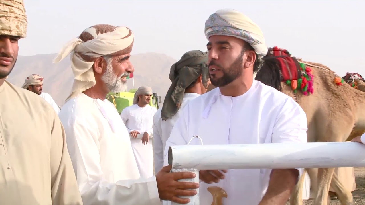 قناة الواحة تقدم مهرجان الصافن الحادي عشر للخيل والهجن