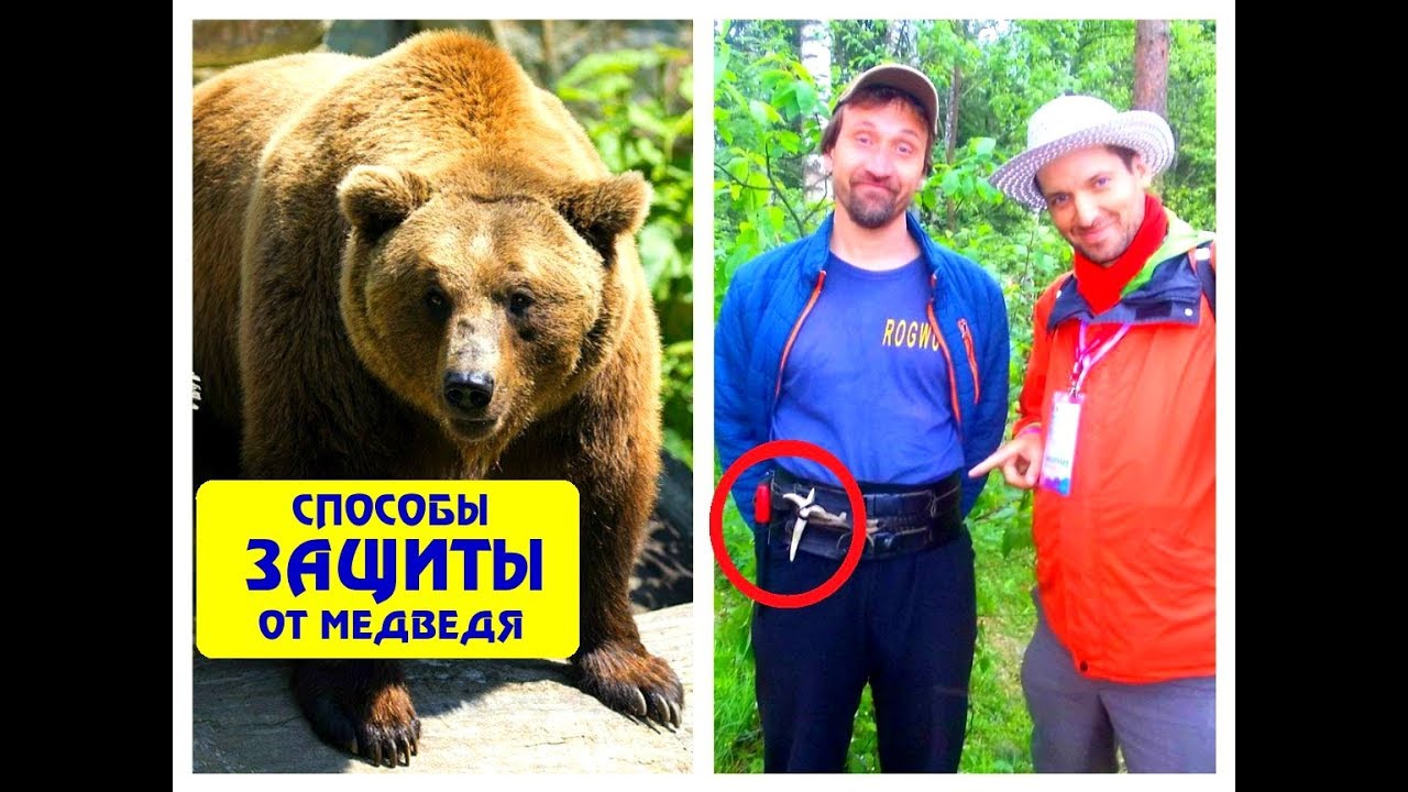 Как спастись от медведя. Арбузов Дмитрий на Лесном Сходе АВП Антона Кротова