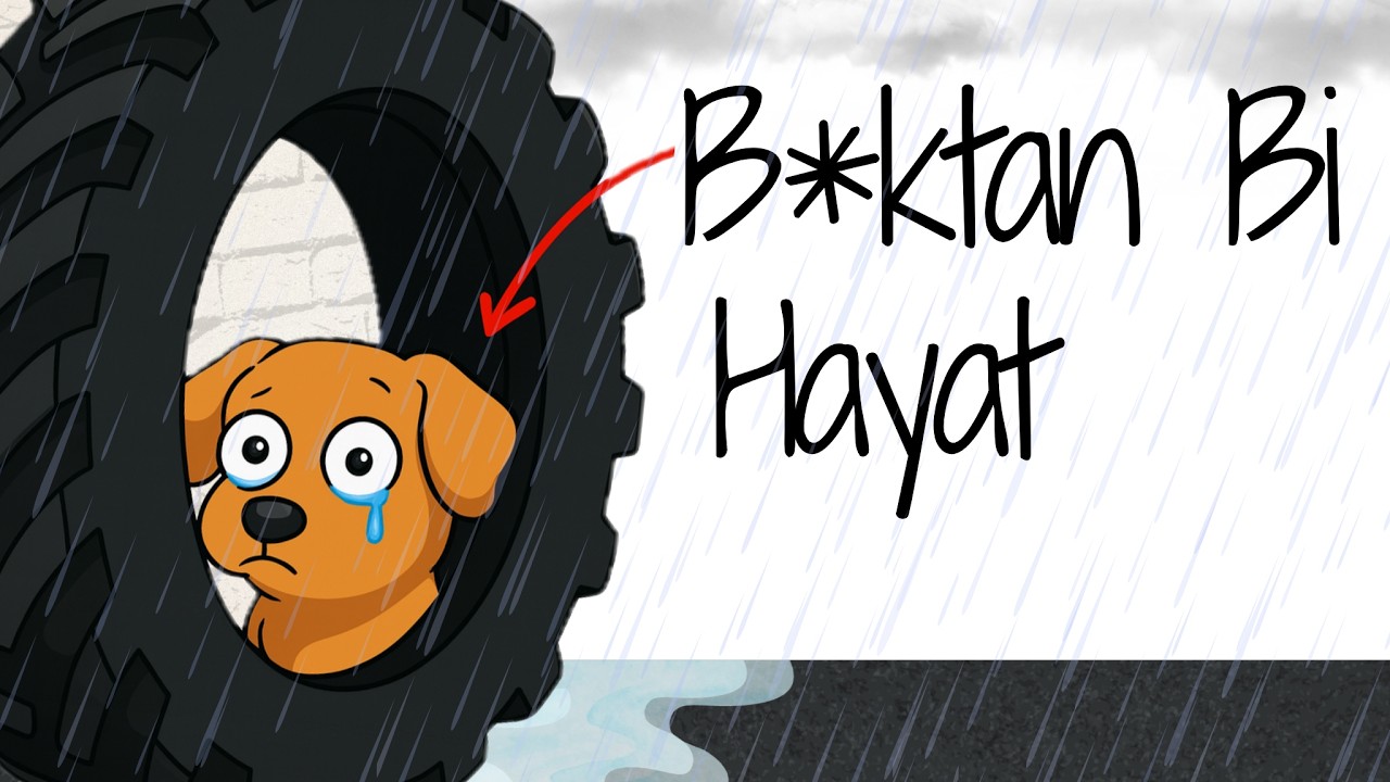 Ya Bir Sokak Köpeği Olarak Doğsaydın?