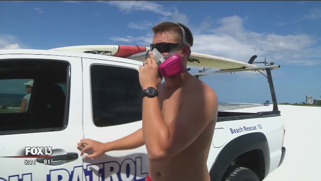 Lonely lifeguards remain vigilant as red tide ravages Siesta Beach