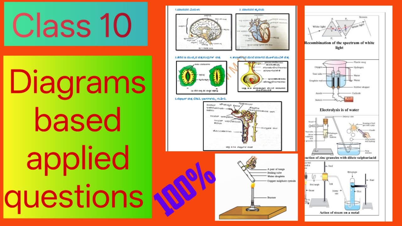 10th science diagram based applied questions 