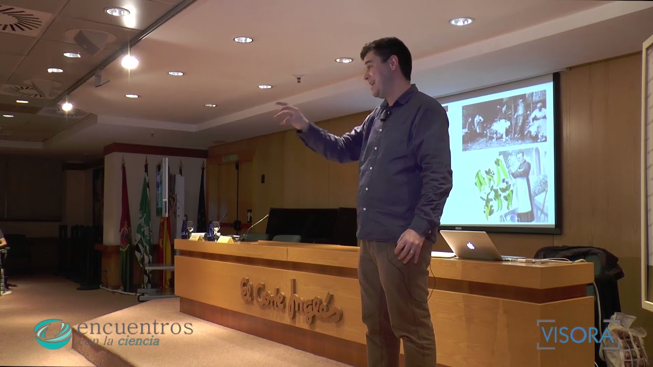 La oveja Dolly historia del primer mam&iacute;fero clonado