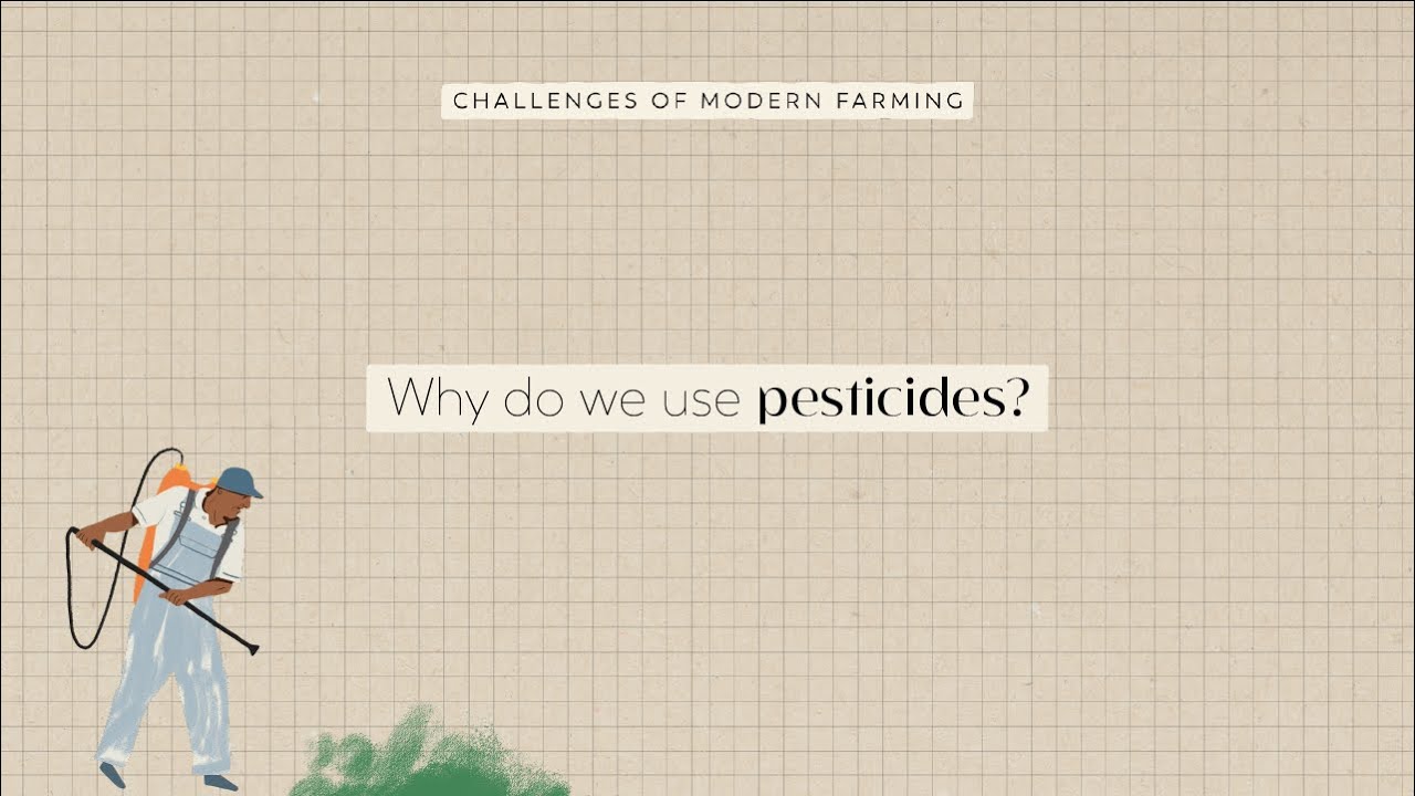 Why Do We Use Pesticides? | FoodUnfolded Animated Short