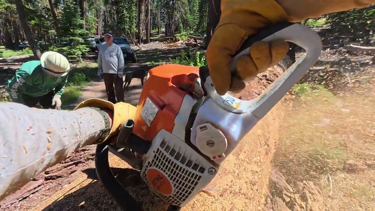 The Work Behind the Wheel: Opening Forest 4x4 Trails