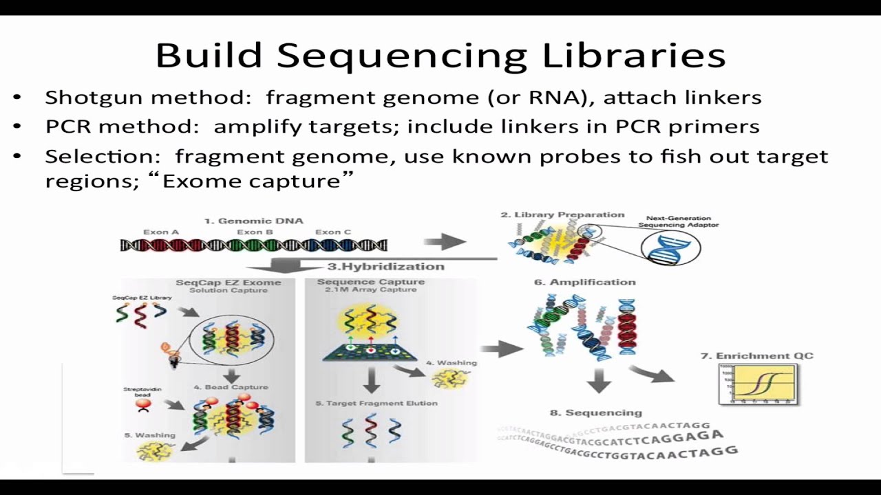 Next Generation DNA Sequencing