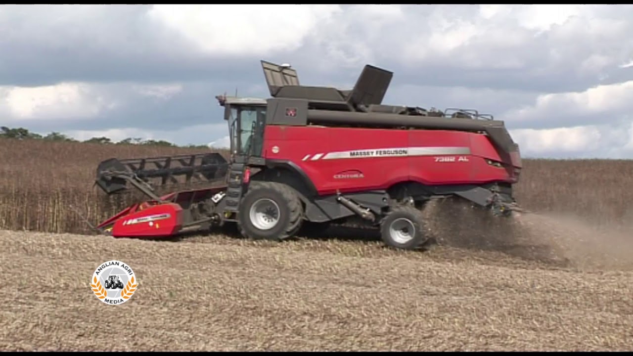 Massey Ferguson Centora 7382 AL combining spring beans - from Four Seasons of Farming