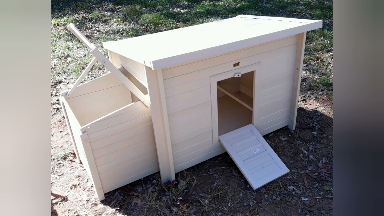 Getting a New House 🐓