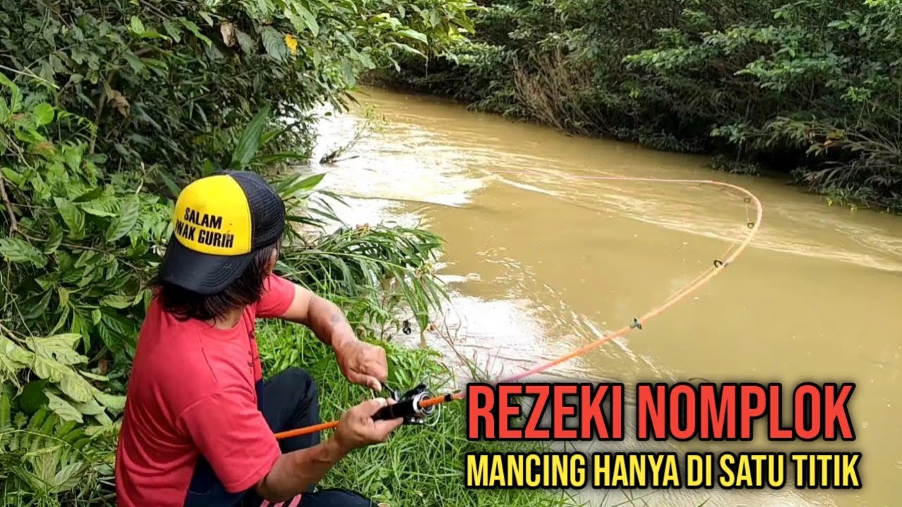 Gak main² spot baru di buka!! masyaallah ikan baung gak berhenti makan