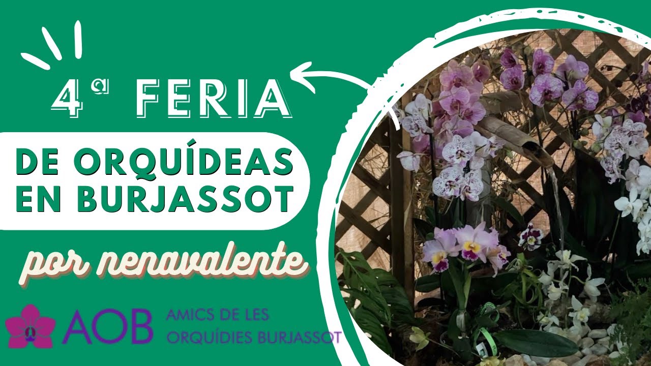4ª Feria de Orquídeas en Burjassot. AOB
