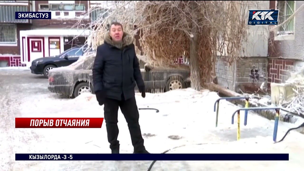 Жители замерзающего Экибастуза обогреваются… котами