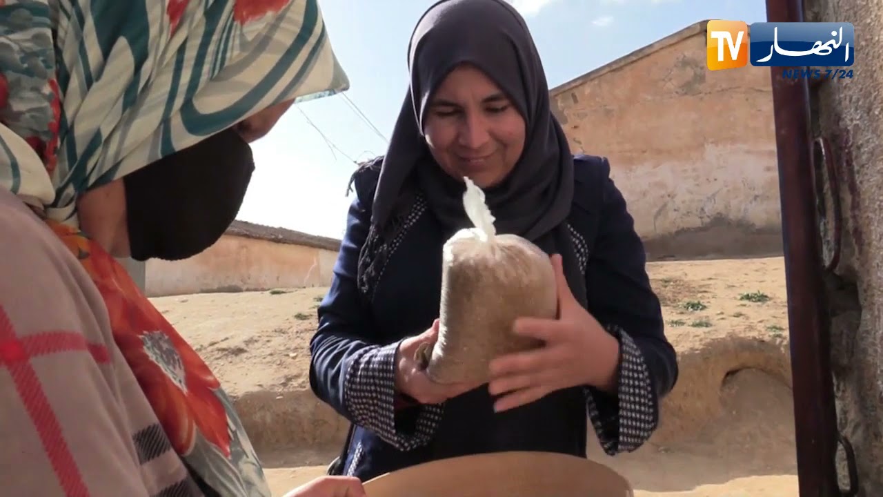 عين الدفلى: 